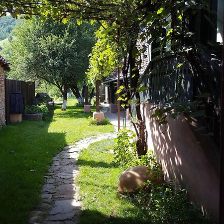 Valchid Guest House المظهر الخارجي الصورة