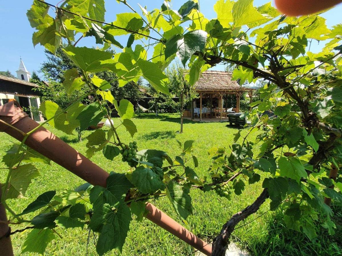 Valchid Guest House المظهر الخارجي الصورة