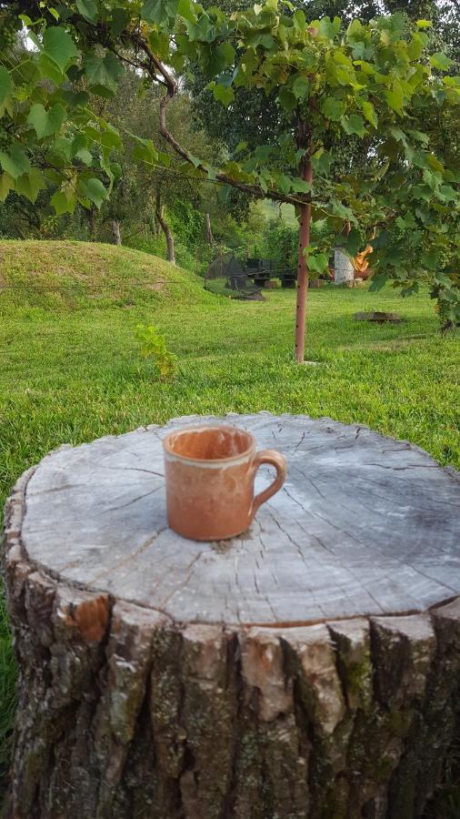 Valchid Guest House المظهر الخارجي الصورة